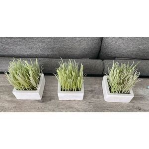 Faux Grass Plants set of 3